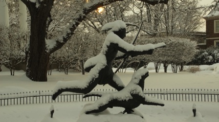 April Snow (local park)