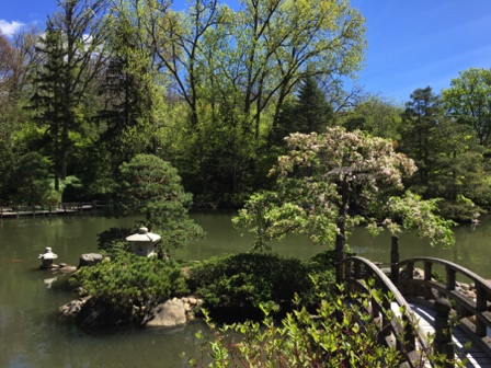 Japanese Garden (Rockford, 05-10)