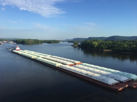 Mississippi at Winona (upstream, 08-03)