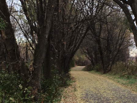 Trail by Mississippi (St. Paul, 11-06)