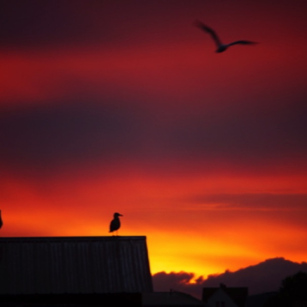 Grand Marais sunrise 09/12