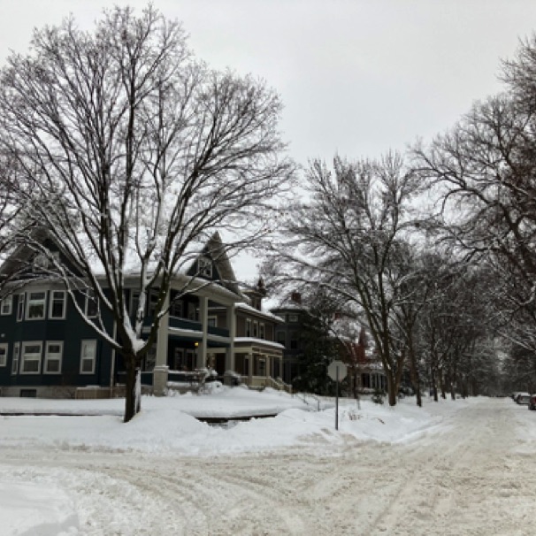 Our snowy street 01/04