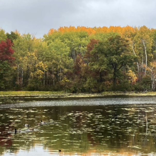 Lebanon Hills Pk. 10/18