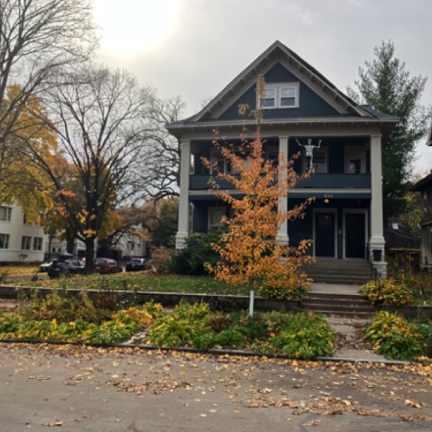 Our "new" maple tree is growing up 10/28