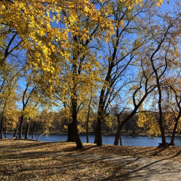 Mississippi River trail across from Pike Island 11/09